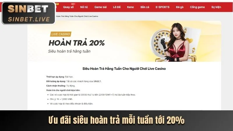 Hỗ trợ Live Chat